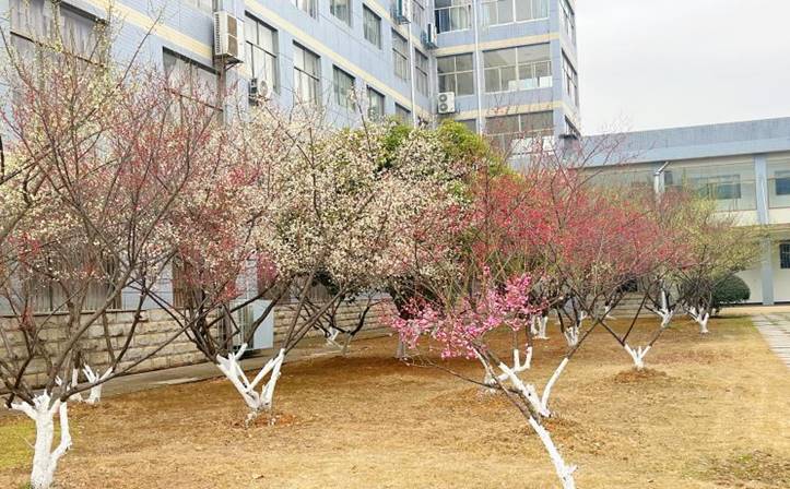 1c5e83c9d3214cb7dd49c438a041d00