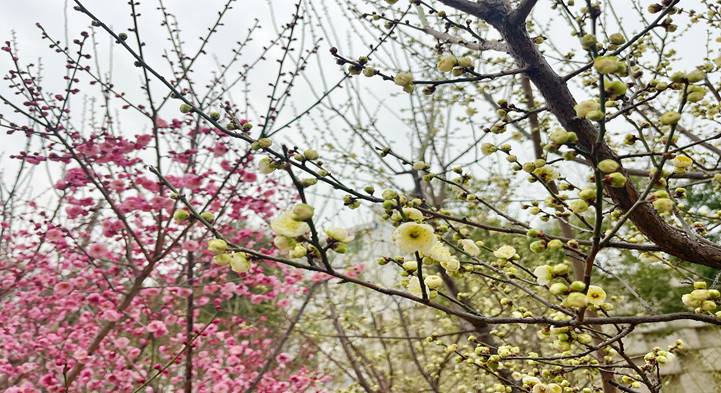 1de367edbc842bd6b6cd87e0d5f18aa